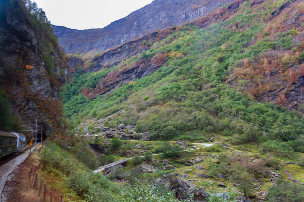 istock Train entering tunnel between mountains in Norway 1356856183