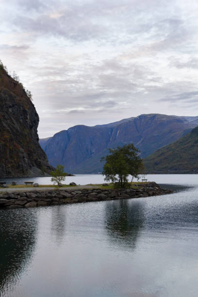 istock Fjord landscape with mountains, and tree reflected on water 1356856214