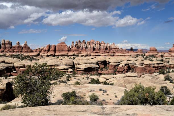 istock The Needles of Canyonlands NP 1356860358