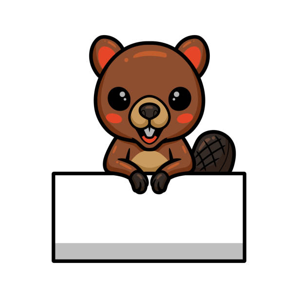 Cute Little Beaver Cartoon With Blank Sign Stock Illustration - Download  Image Now - Animal, Animal Wildlife, Beaver - iStock