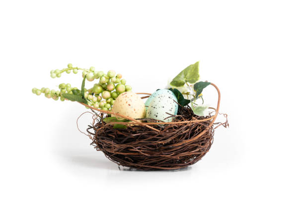 ptasie gniazdo z pisankami i sztuczną zielenią. - birds nest animal nest animal egg blue zdjęcia i obrazy z banku zdjęć