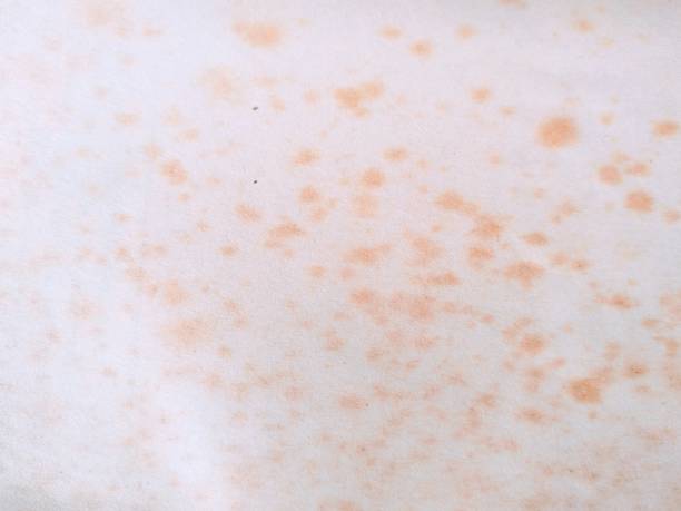 istock white wall wallpaper that is torn and damaged because it has been eaten by time so it must be replaced 1356867983