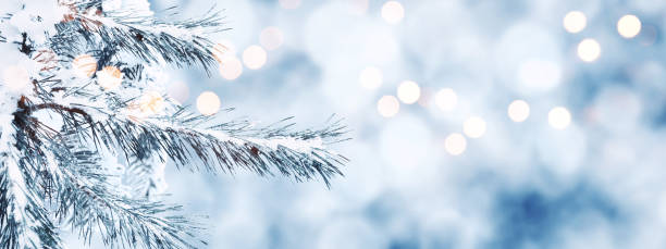 istock Winter Christmas scenic background with copy space. 1356872065