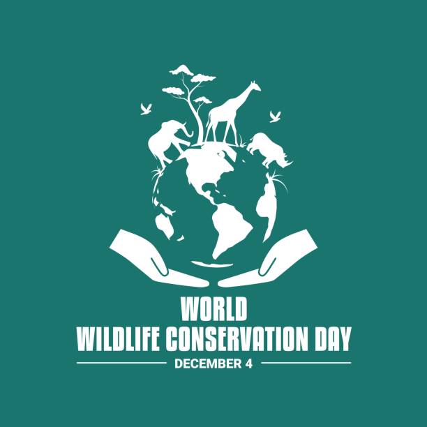 stockillustraties, clipart, cartoons en iconen met world wildlife conservation day. - dierendag