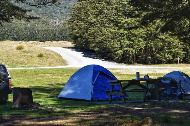 istock Tents on grass camping 1356886650