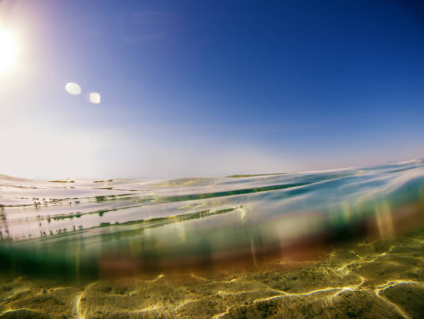 istock Seascape water line underwater and blue sky. 1356889185
