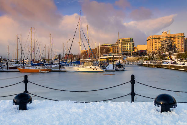 victoria, british columbia harbor em um dia de inverno - porto de victoria - fotografias e filmes do acervo