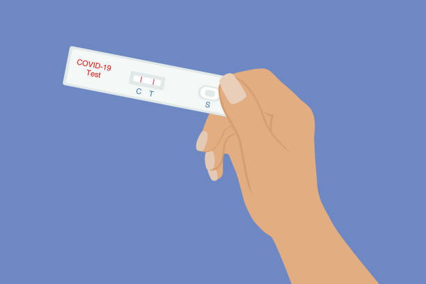hand holding covid-19 rapid test with positive test result. - tıbbi test stock illustrations