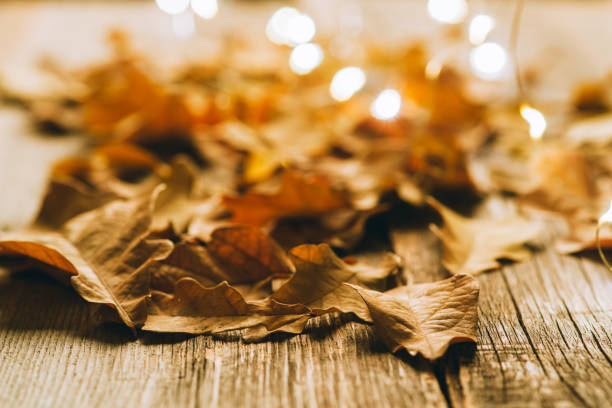istock Faded dry oak leaves with lights on the rustic wooden floor. Selective focus. 1356895257