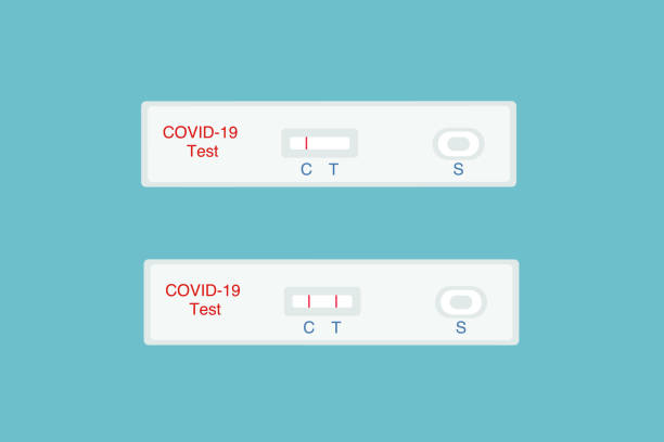 Covid-19 Rapid Diagnostic Test With Negative And Positive Test Results vector art illustration