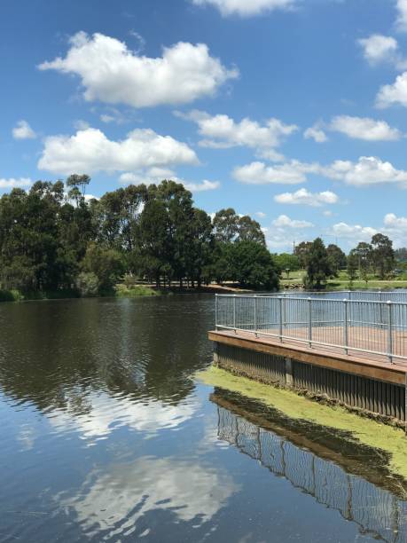 istock Harrington Park, New South Wales, Australia 1356905071