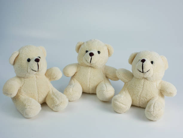 istock flowers and teddy bear with copy space. concept photo 1356905844
