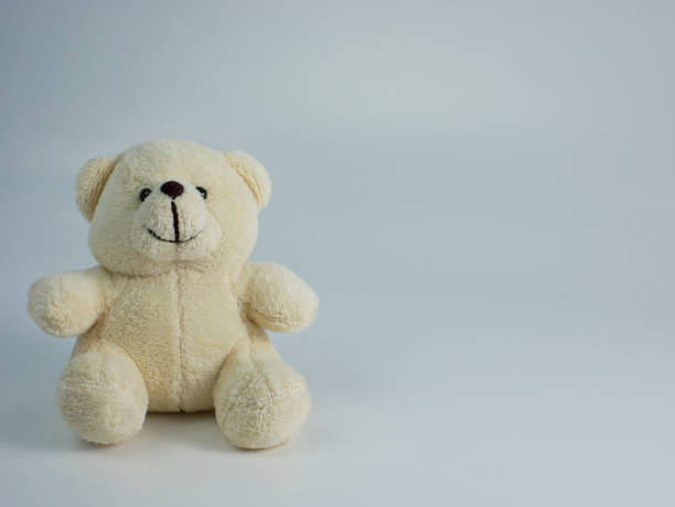 istock flowers and teddy bear with copy space. concept photo 1356905914