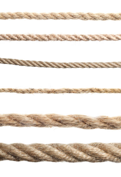istock Set of hemp ropes on white background 1356905983