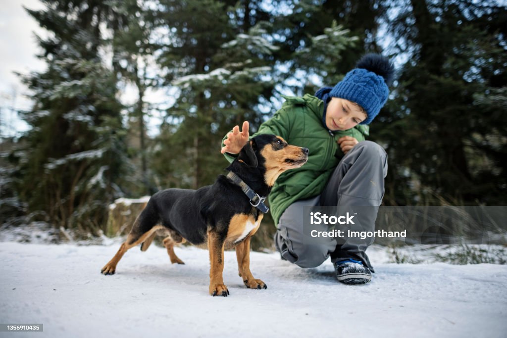 Teenage boy playing with mixed-breed dog on winter day Little boy enjoying playing with dog on a winter day. 
Shot with Canon R5 Dog Stock Photo