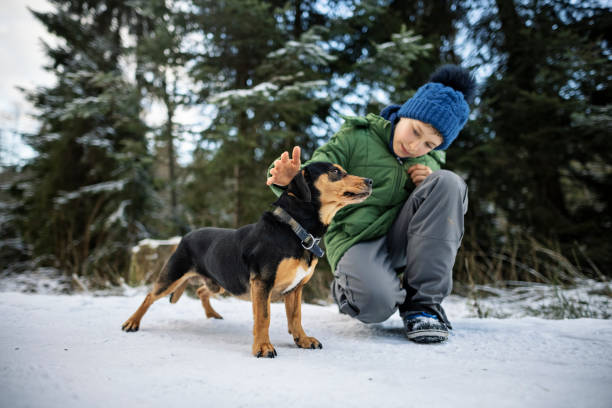 Teenage boy playing with mixed-breed dog on winter day stock photo