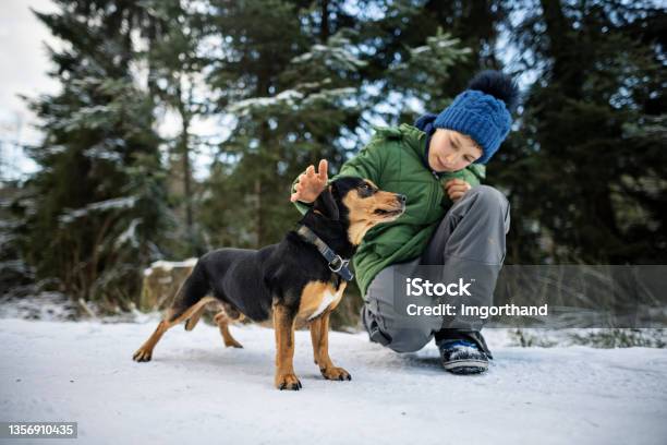 Teenage Boy Playing With Mixedbreed Dog On Winter Day Stock Photo - Download Image Now
