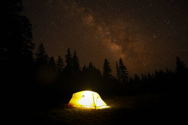 istock Camping under the milky way 1356910554