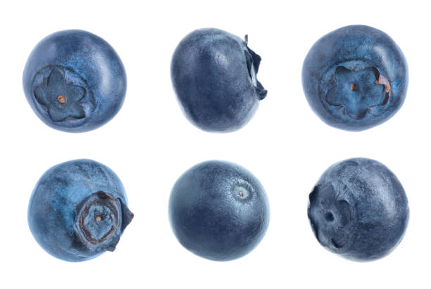 istock Set of fresh blueberries on white background 1356911018