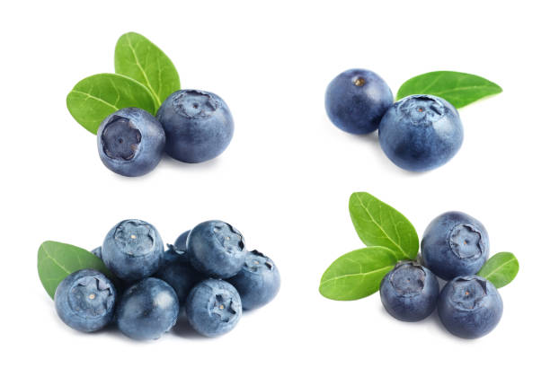 istock Set of fresh blueberries on white background 1356913908