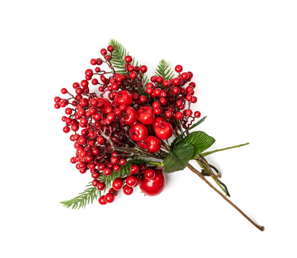 istock Christmas Branch with Red Berries 1356915495
