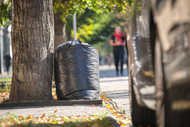 https://media.istockphoto.com/id/1356918827/photo/pile-of-black-garbage-bags-full-of-litter-left-for-pick-up-on-street-side-trash-disposal.jpg?s=612x612&w=0&k=20&c=_Fpl_fEBNsd6R0qIyvs35c4_MB-lyVU1OEhZTH5-NVc=