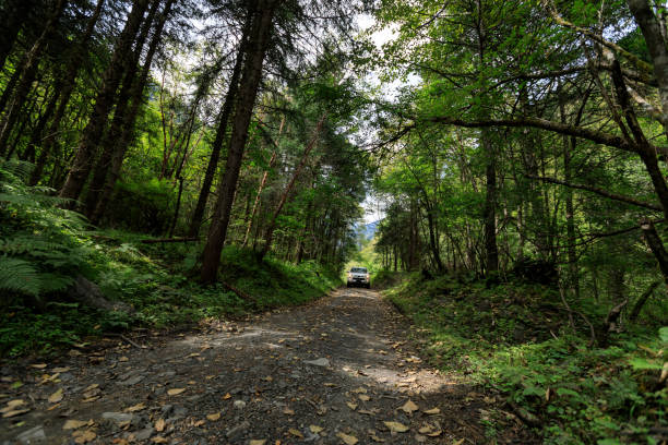 istock Driving off road car in the high altitude forest mountains 1356918920
