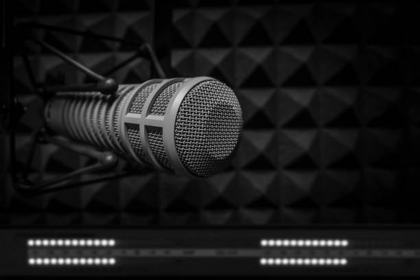 istock Professional microphone and sound mixer 1356920252