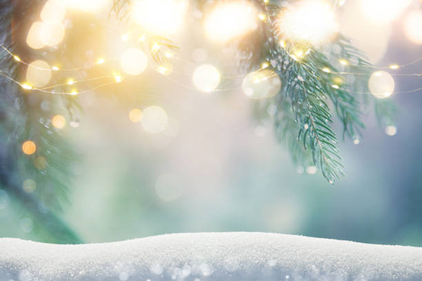 istock Pine tree background for Christmas decoration with snow and defocused lights 1356923649