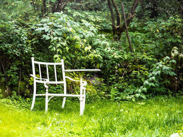 녹색의 흰색 정원 의자와 정원 테이블 - chlorophyll tranquil scene summer blade of grass 뉴스 사진 이미지