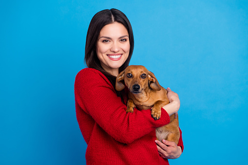 Portrait of attractive cheerful woman holding hugging doggy isolated over bright blue color background.