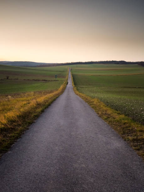 istock Lone road into the sunset sky 1356927356