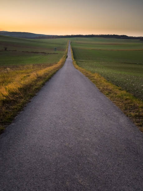 istock Lone road into the sunset sky 1356927375