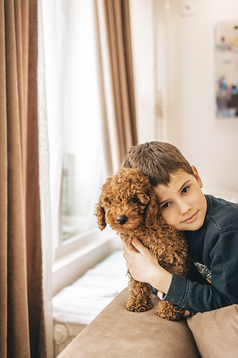 Cute little boy sitting on sofa and embracing his dog and looking at camera