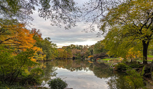 istock Gapstow Bridge in Central Park autumn 1356933394