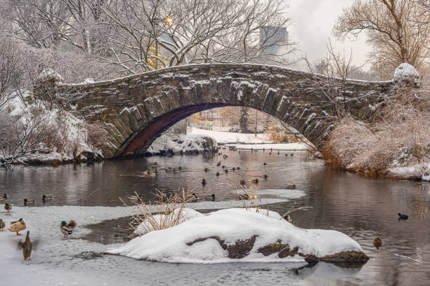 istock Gapstow Bridge in Central Park snow storm 1356933446