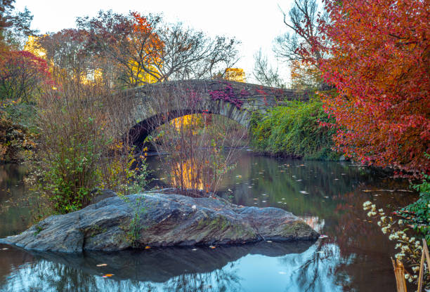 istock Gapstow Bridge in Central Park autumn 1356933454