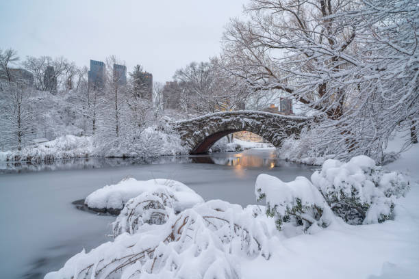 istock Gapstow Bridge in Central Park snow storm 1356933552