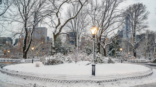 istock Central Park in winter  snow storm 1356933631