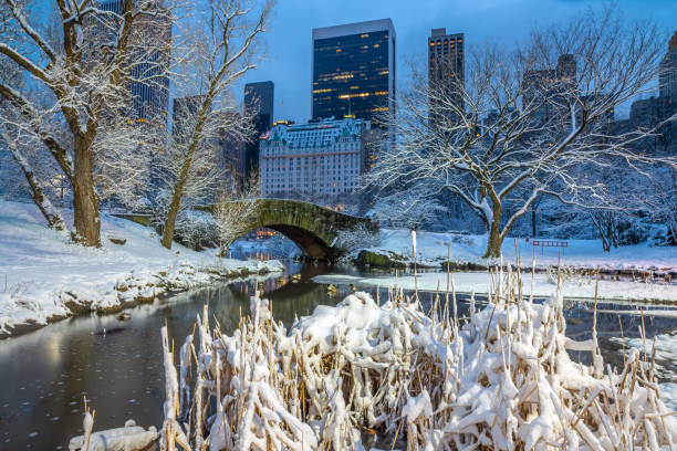 istock Gapstow Bridge in Central Park snow storm 1356933657