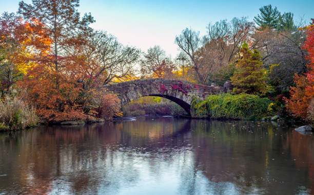istock Gapstow Bridge in Central Park autumn 1356933736