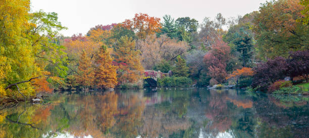 istock Gapstow Bridge in Central Park autumn 1356934214