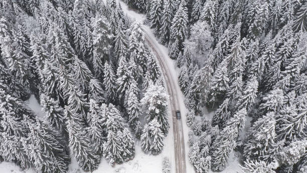 istock Car driving on winter country road 1356934494
