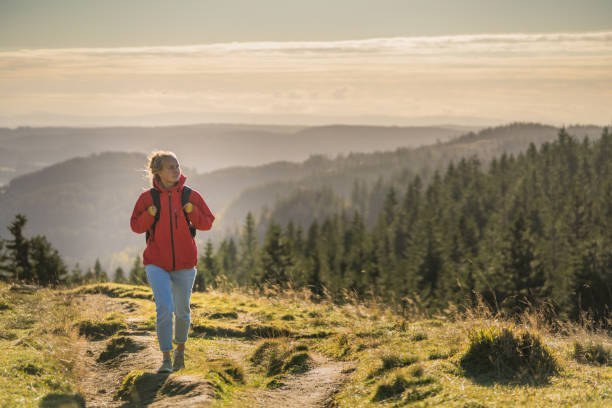 female hiker follows trail through meadow - black forest forest sky blue imagens e fotografias de stock
