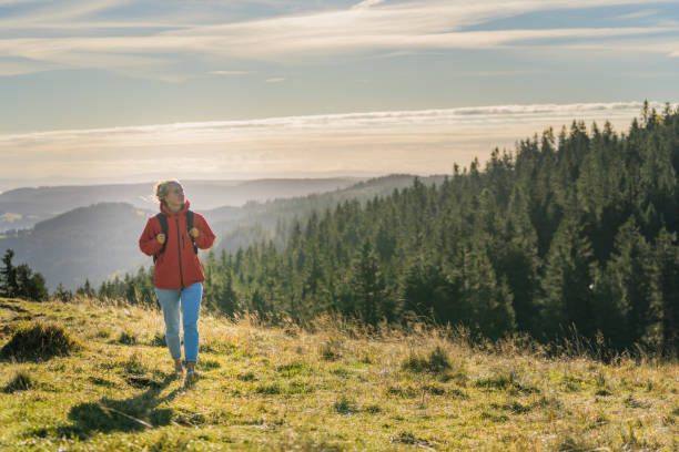 Above the Black Forest, at sunrise