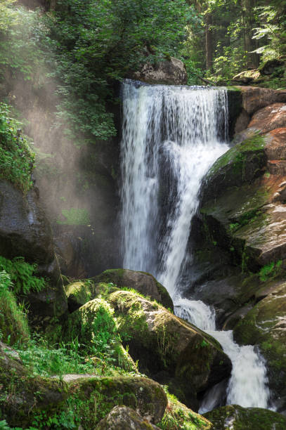 목가적인 폭포는 흐릿한 협곡에 빠진다. - black forest waterfall triberg landscape 뉴스 사진 이미지