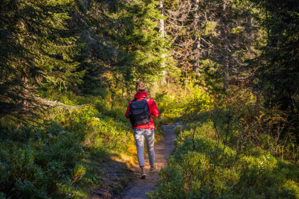 istock Female hiker follows trail through forest 1356936984