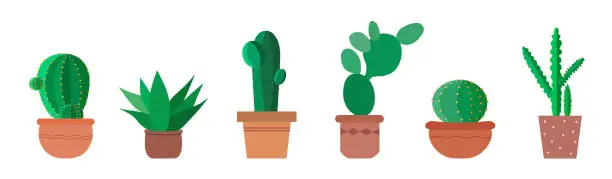 Vector illustration of Set of different types cactus on white background. Variety vector cactus in flat style.