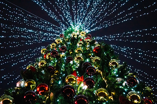 Christmas tree in the park at night, decorated with lights and star