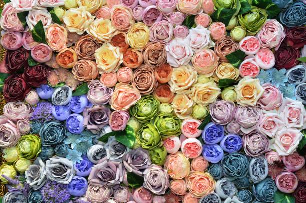 istock Flowers on the wall 1356946040